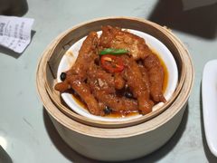 -南枝记