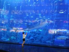 -成都浩海立方海洋公园