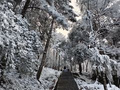 -九华山风景区