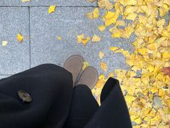 -龙华素斋(龙华路店)