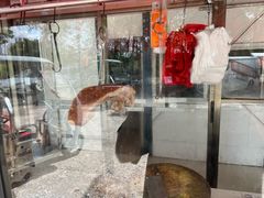 -洲心街道青联村镜记烧肉