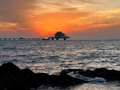 -烟台海昌鲸鲨海洋公园