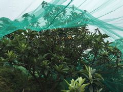 -亮河湾山庄