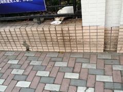 -杨浦区图书馆(长海路街道分馆)