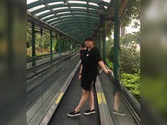 -龙环葡韵住宅式博物馆