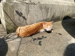 -超山青莲寺