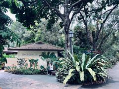-新加坡植物园