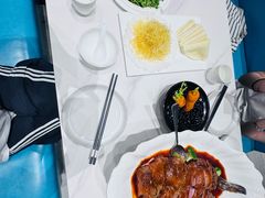 -丁老爷子苏香圆