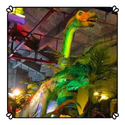 -恐龙探索乐园(磁器口店)