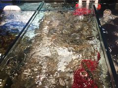-马路边上·小海鲜烧烤(八一路店)
