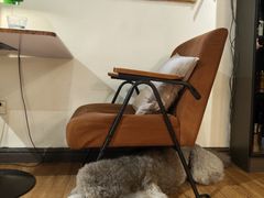 -沏点Trattoria意大利餐厅(新街口店)