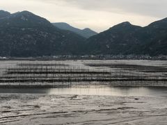 -北岐滩涂