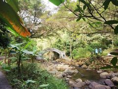 -广州市石门国家森林公园