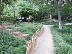 -常熟方塔园