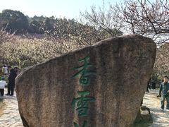 -香雪海