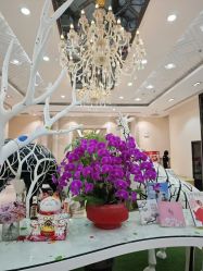 -同远QQBABY亲子摄影(北京路店)
