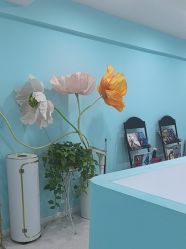 -斐尔国际皮肤管理中心