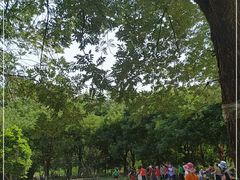 -丰台科技园生态主题公园