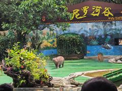 -广州长隆飞鸟乐园