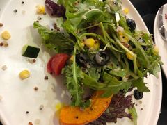 -百好乐宠物友好餐厅(朝外大街店)