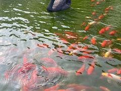 -南京圣和府邸豪华精选酒店