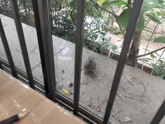 -西湖区图书馆(古墩路)