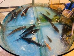 -屯靠屯地锅王(西南路店)