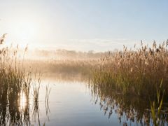 -太湖湖滨国家湿地公园-停车场