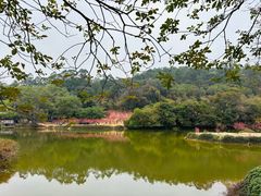 -南国桃园旅游度假区