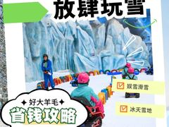 -湘江欢乐城欢乐雪域