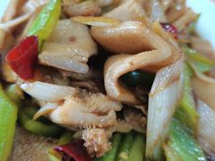 炒羊肚-教师之家赵家羊汤馆(东青龙街店)
