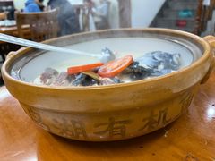 -全乐鱼馆·淳牌有机鱼直营店