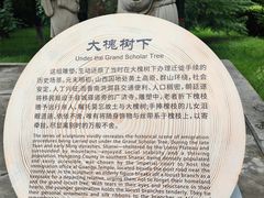 -大槐树寻根祭祖园