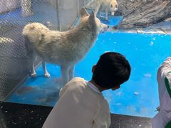 -泉城欧乐堡海洋极地世界