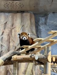 -Zoolung Zoolung动物主题公园(海信广场店)