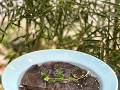 -凤来栖·净庭院·火锅(欧尚店)