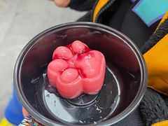 -酒阳蒸经·江湖川菜
