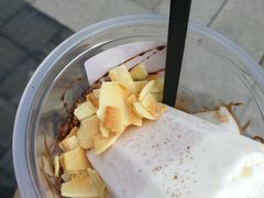 椰奶雪雪冻-眞宗·椰汁是大王(小娄巷店)