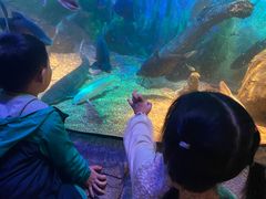 -沈阳海洋探索中心