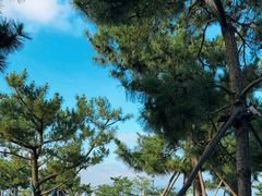 -小麦岛公园