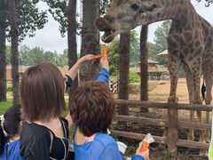 -大连森林动物园