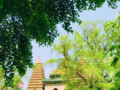 -北京石刻艺术博物馆(五塔寺)
