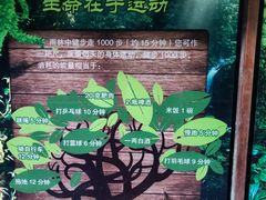 -西双版纳原始森林公园