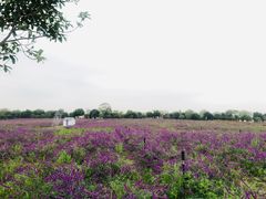 -上海杨姆庄园