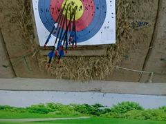 -道顺射箭·团建·骑射(张杨路店)