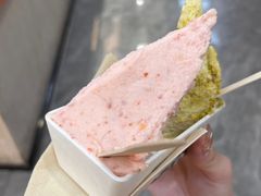 -野人先生现做冰淇淋(西安赛格店)
