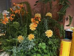 -喃喃椰·糟粕醋·椰子鸡火锅(七堡花园店)