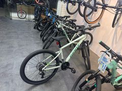 -GIANT捷安特自行车专卖店(金桥台儿庄路店)