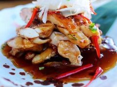-Hatsune隐泉日式料理(三里屯太古里店)