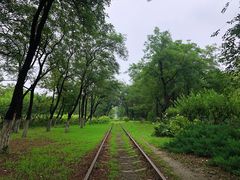 -永定河休闲森林公园